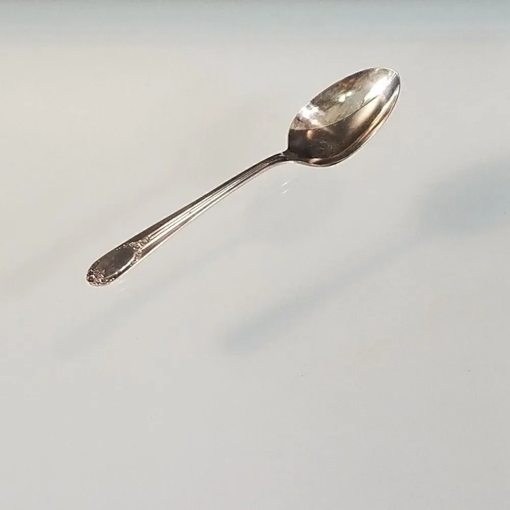 Rogers & Bro 1937 RAPTURE GARLAND Pattern Soup Spoon Reinforced Plate IS